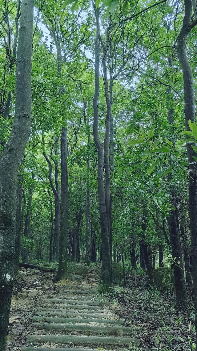 銀湖山郊野公園徒步