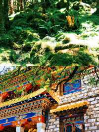 汐兒旅行|在山野納涼採摘·孟屯河谷