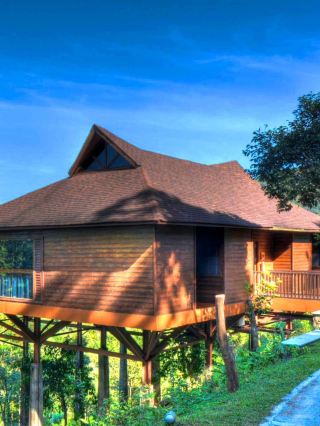 🌟 Coorg's Hidden Gem: Luxe Nature Retreat 🌳✨