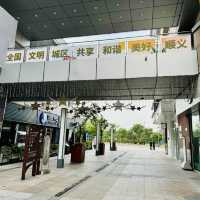 Shine Hills: Fun, Food, Films, All Day!