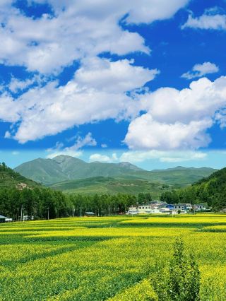 【雪山秘境】祁連山下的小城，為何能讓人忘卻阿勒泰？
