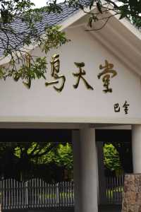 幸運尋訪到巴金先生美文中的「小鳥天堂」