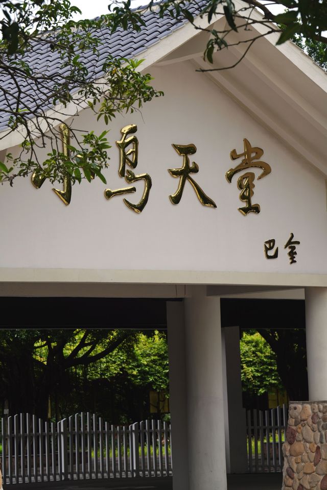 幸運尋訪到巴金先生美文中的「小鳥天堂」
