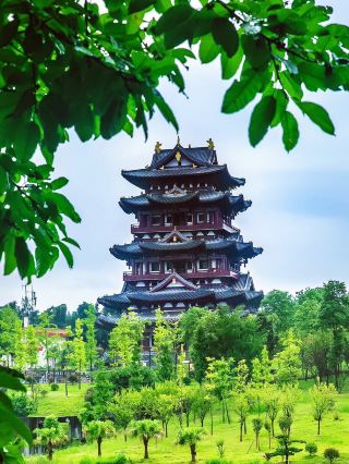 南龕山已去真心建議7-9月去……因為