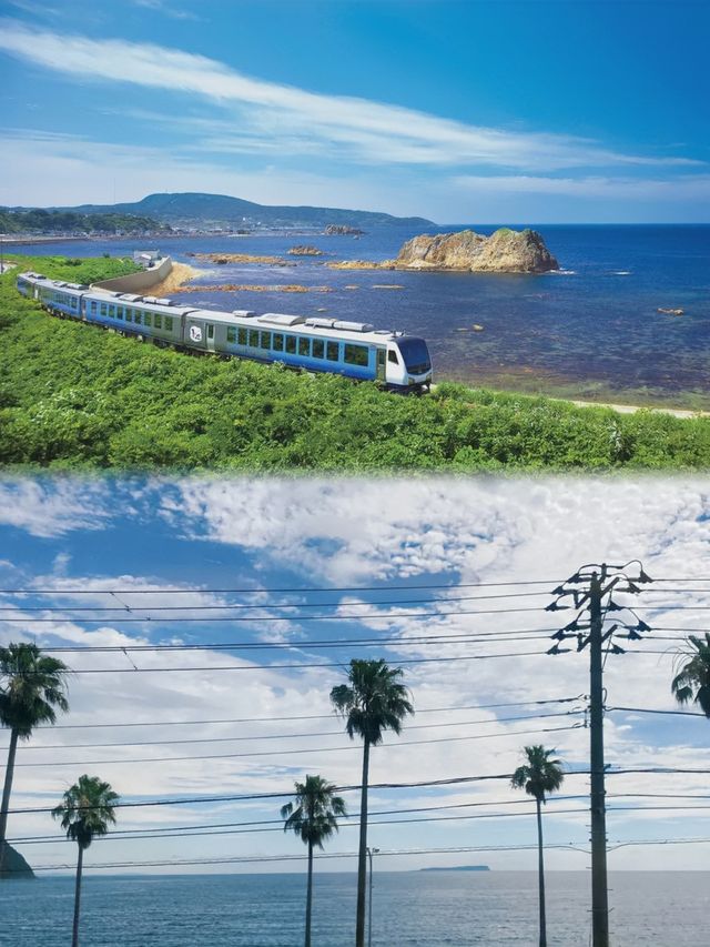 夏日海邊小火車，伊豆觀海列車的夢幻之旅