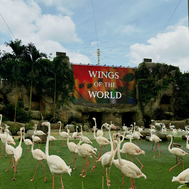 Birds Paradise 🦜 Singapore 🇸🇬 