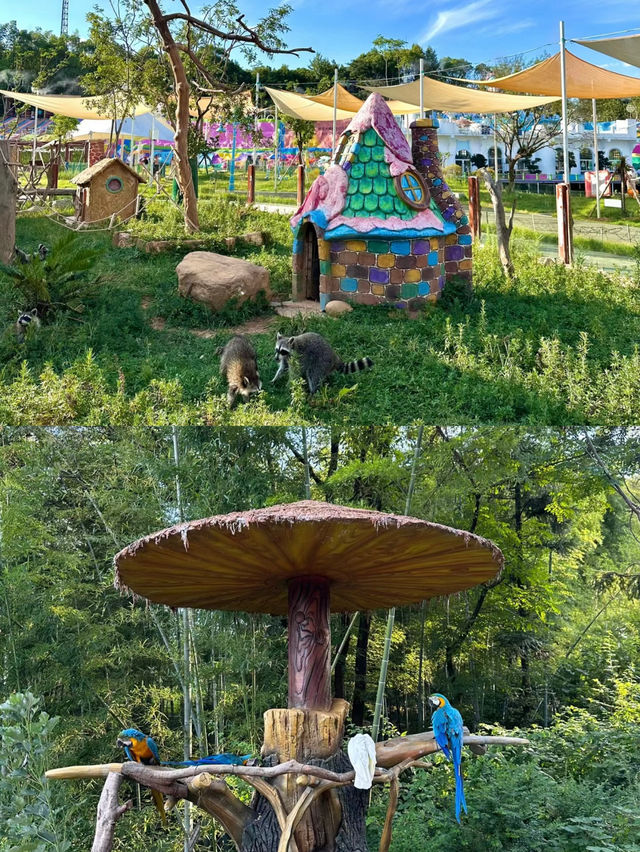長沙動趣王國打卡全攻略