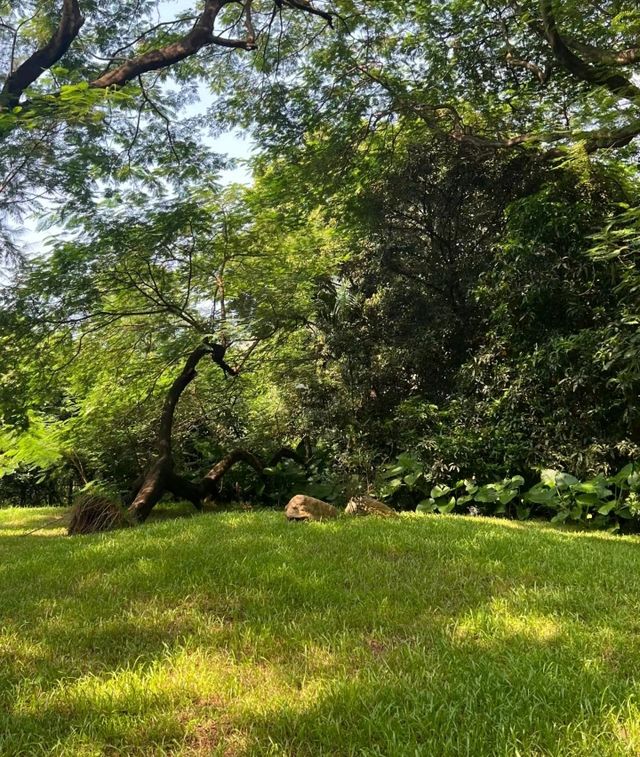 終於打卡了深圳最難約的公園！