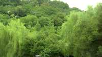 牛首山下的慢時光 - 花築奢•牛首隱嵐民宿