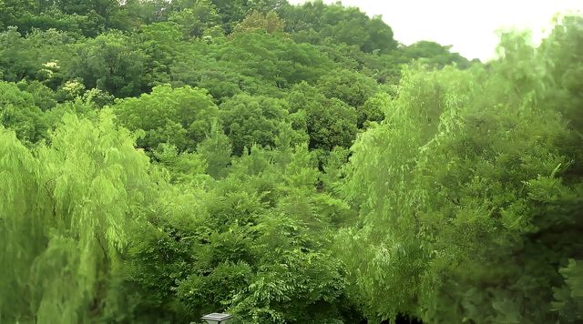 牛首山下的慢時光 - 花築奢•牛首隱嵐民宿