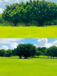 深圳可以野外奔跑嘅公園。