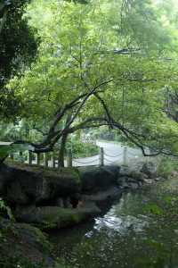 喺深圳｜落雨嘅日子令我悄悄躲入咗精神避難所～