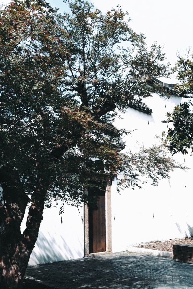 推薦景點打卡：川沙古鎮。