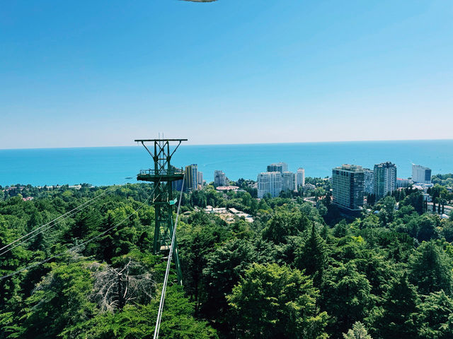 魅力索契，奇幻索契植物園｜黑海之濱的熱帶綠洲之旅。