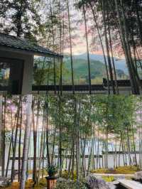 茶香山水色，自在而一味（武夷山茶莊民宿）。