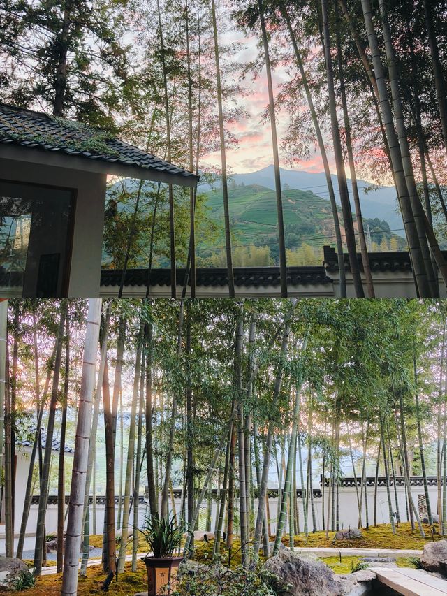 茶香山水色，自在而一味（武夷山茶莊民宿）。