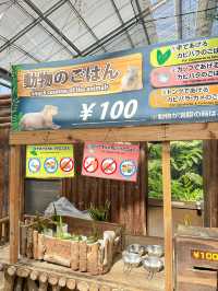 帶孩子來神戶一定要去這家動物王國！附攻略。