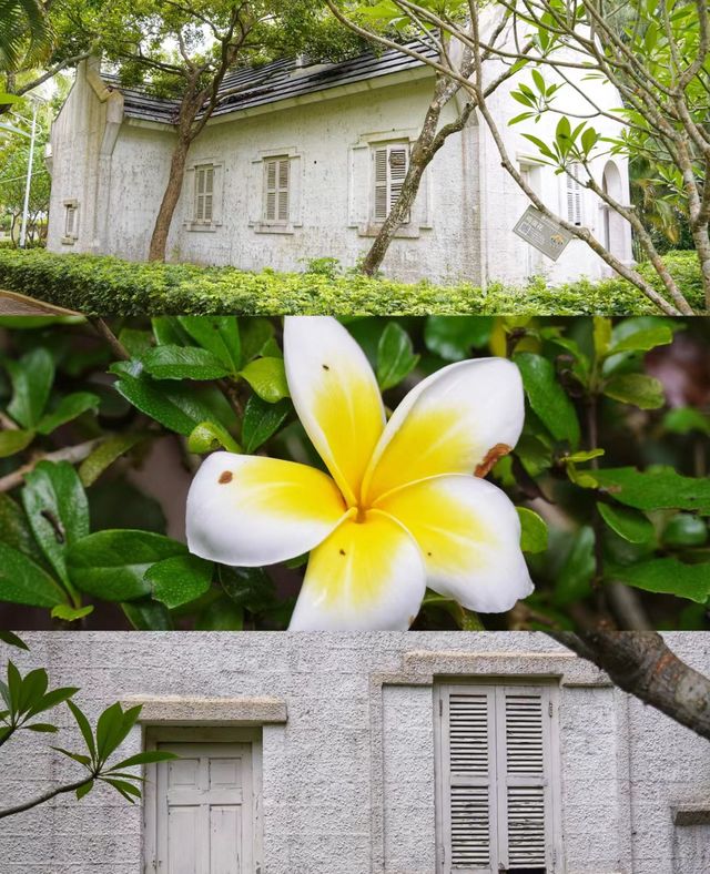 臨高｜海南解放公園。
