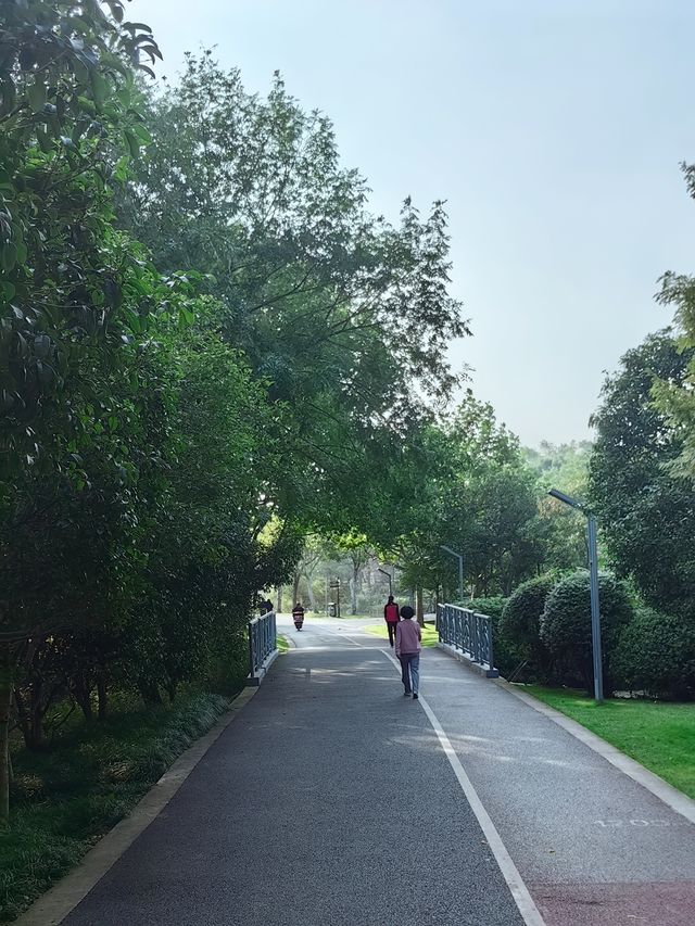 這個五星級公園也太好拍照太好逛了。