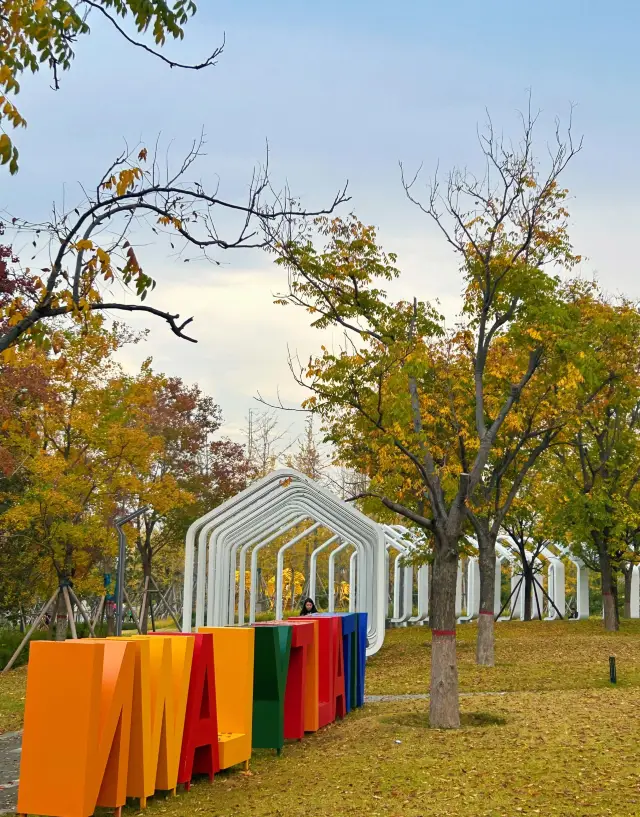 Zhengzhou Diehu Forest Park - A New Landmark for Kids