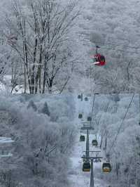 吉林北大湖滑雪‖拍照打卡攻略。