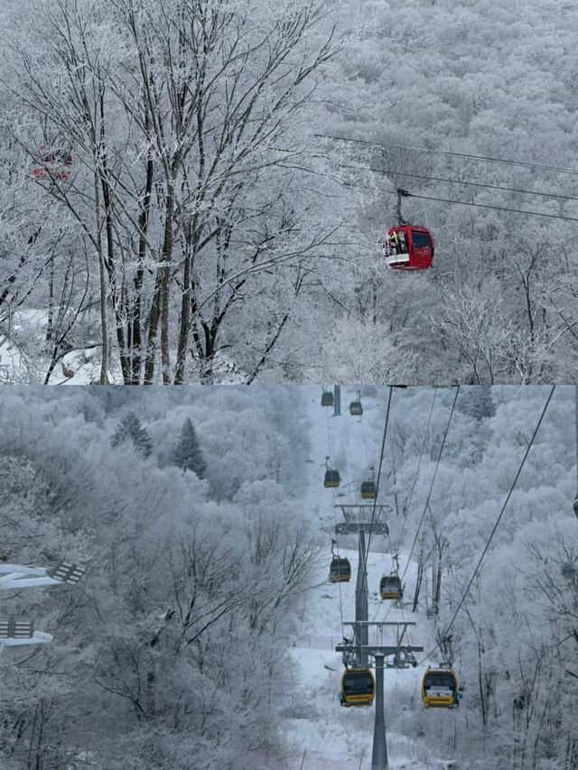 吉林北大湖滑雪‖拍照打卡攻略。