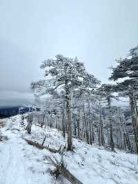西安秦嶺東梁|雪後的東梁，如她的名字一樣別緻。