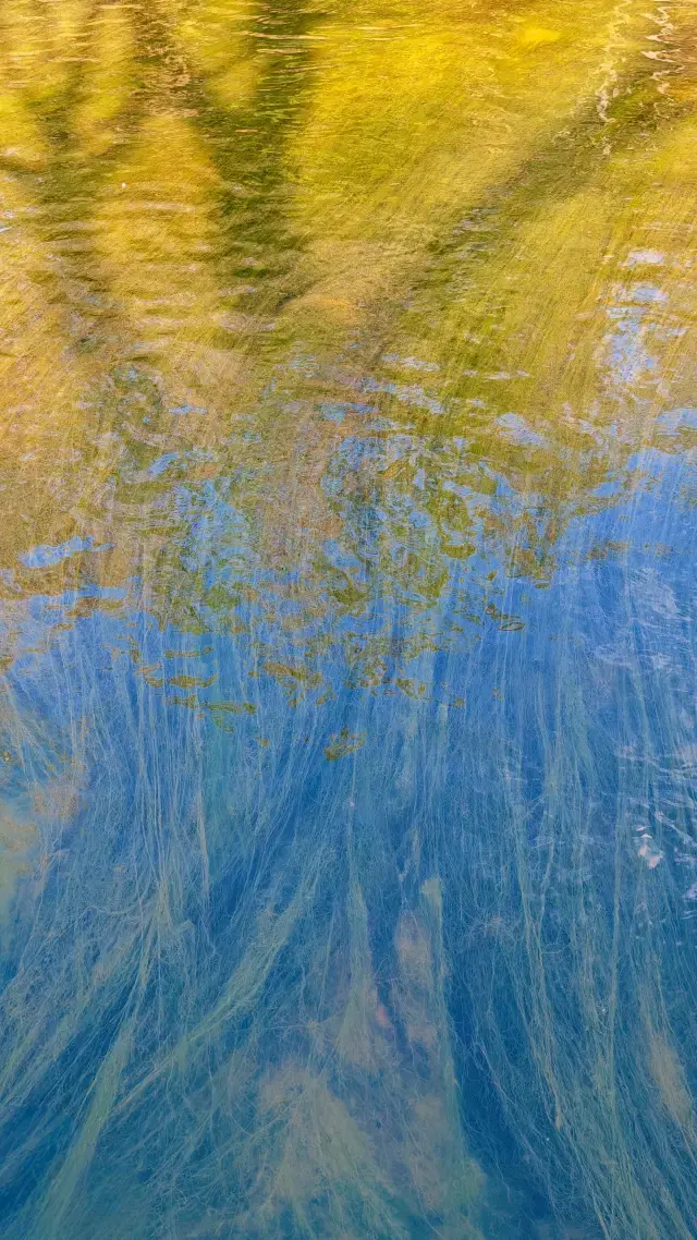 이량 월량구 트레킹 체험.