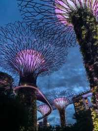 Garden by the bay Singapore beauty 🇸🇬