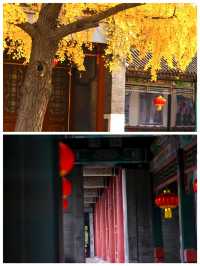 大觀園讓人陶醉的花園勝似仙境