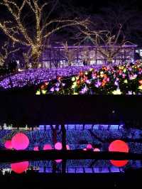 Winter's Hidden Gem: Tokyo's Surrounding Light Shows