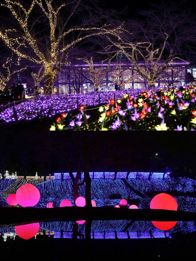 Winter's Hidden Gem: Tokyo's Surrounding Light Shows