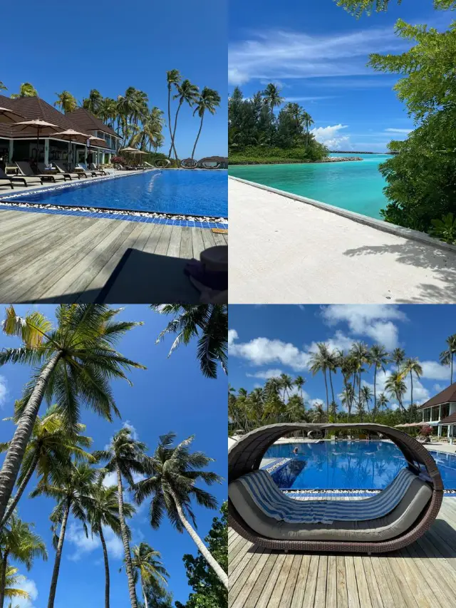 몰디브의 로맨틱한 휴양지 | TUI BLUE Olhuveli Romance   호텔：TUI B