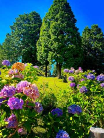 8日日本深度遊你不該錯過的特色體驗