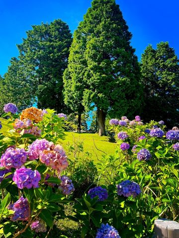 8日日本深度遊你不該錯過的特色體驗