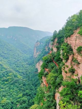 Let's promote Henan every day!