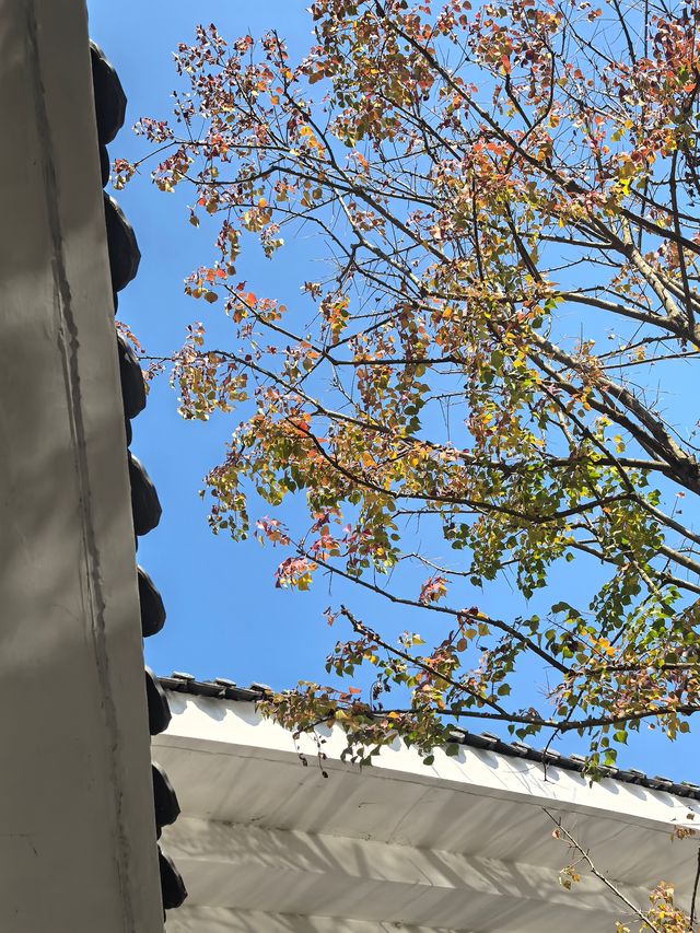 呢間民宿真係超值，住咗都唔想走