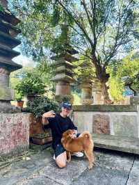 浦江龍潭古寺