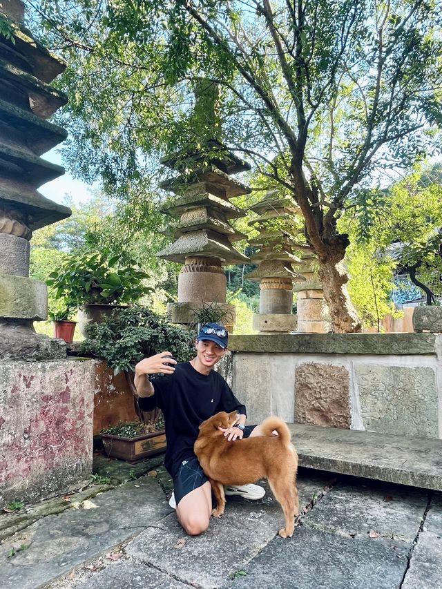浦江龍潭古寺