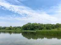 溱湖濕地公園