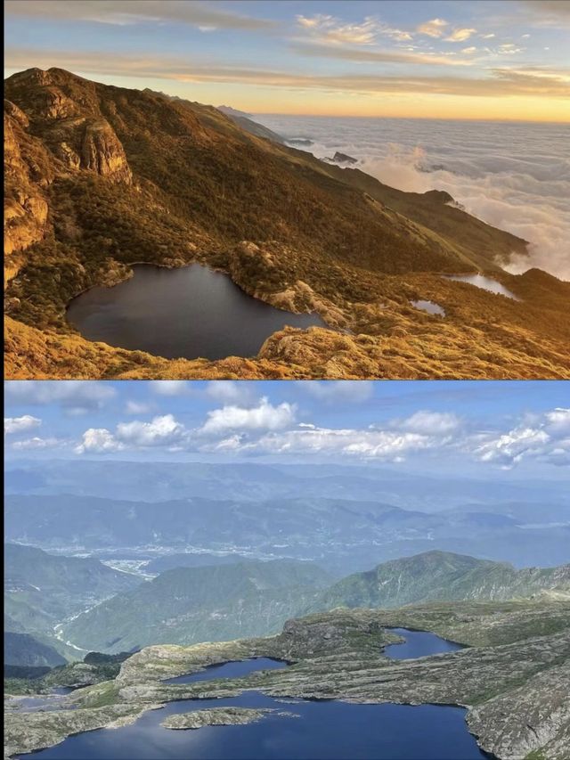 俄爾則俄｜重生之我在魔幻森林撿水晶。