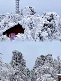高鐵2h直達最適合廣東人的賞雪聖地
