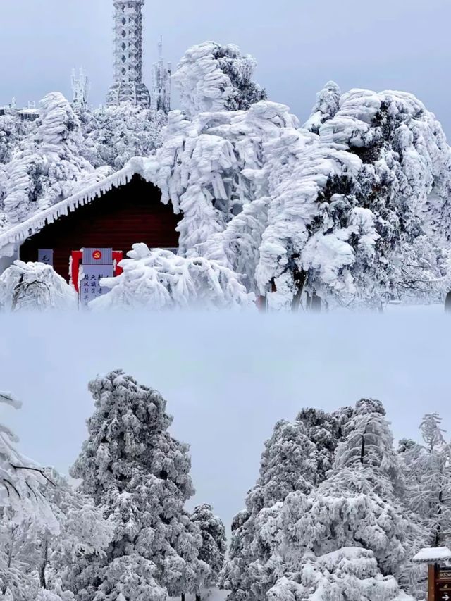 高鐵2h直達最適合廣東人的賞雪聖地