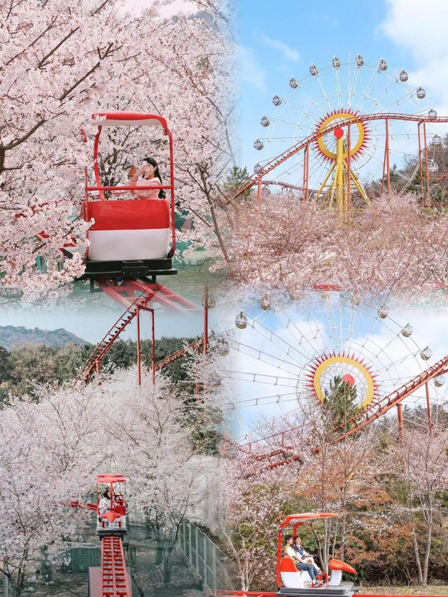 金海市旅遊攻略｜探索盧武鉉的故鄉