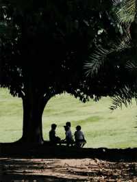 Discover the Ancient City of Kandy in Sri Lanka