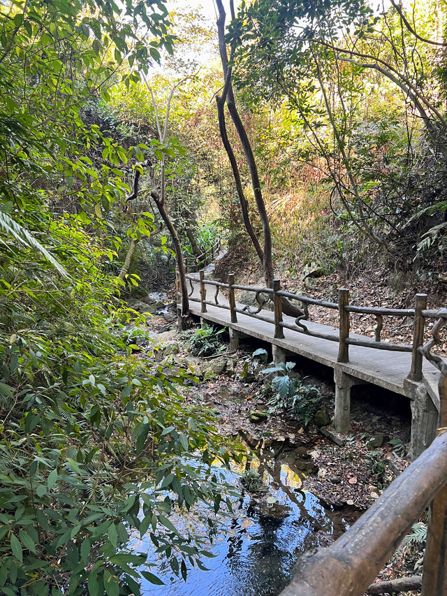 到南丹山接福接財過大年