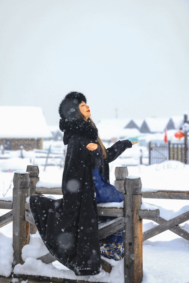 新疆禾木｜落雪成詩，芳華盡收