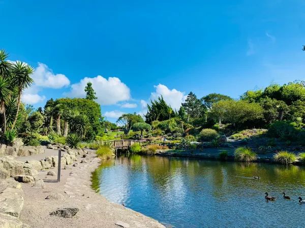 Auckland Botanic Gardens: A Scenic Escape
