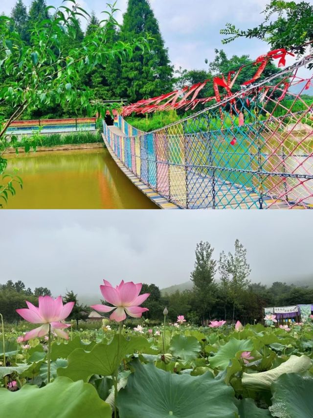 🪷廣德金灣的靜謐雅居盡享新中式🪷