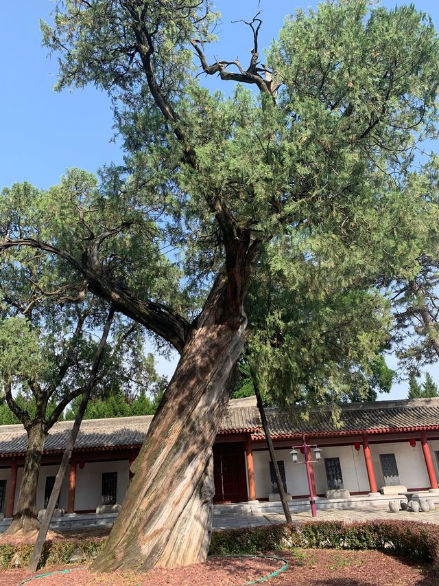 西安兵馬俑-法門寺5日遊帶小孩玩轉古都西安